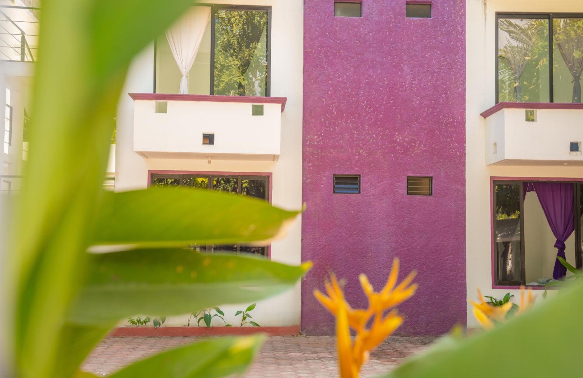 Hotel Palmarito Puerto Escondido  Ngoại thất bức ảnh